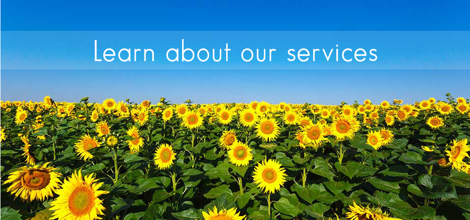 Learn About Our Services